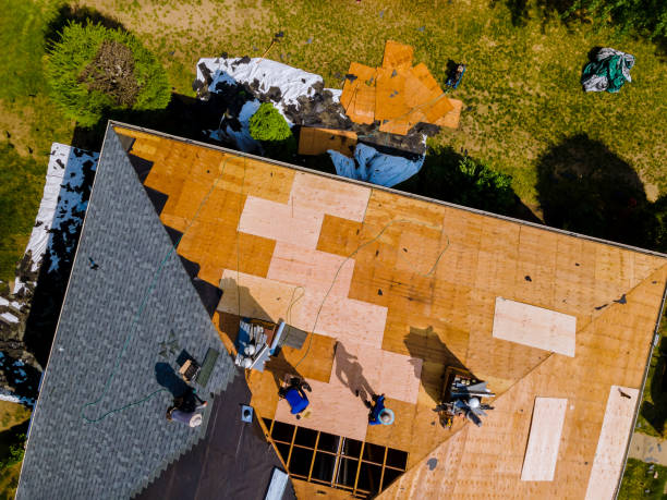 Best Storm Damage Roof Repair  in Fort Dodge, IA